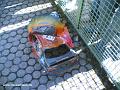 Ettlingen_HARM (4)